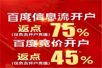 充值高返点策略：成功案例分析与解读